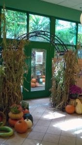 Pumpkin Extravaganza Sprouts Up At Botanical Center