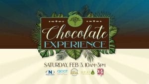 Have A Sweet Time At Chocolate Experience