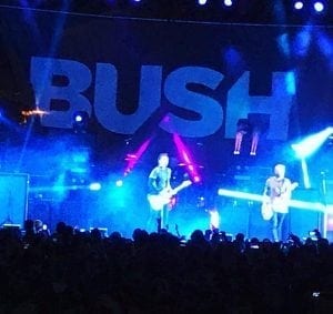 QC Scene: Bush