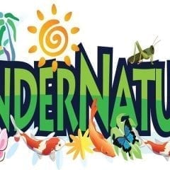 KinderNature All About Monarchs this Month!