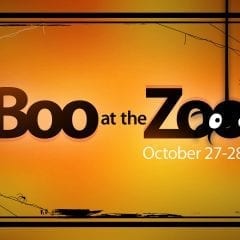 Boo at the Zoo Returns!