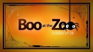 Boo at the Zoo Returns!