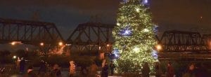 Genesis Remembrance Tree Lights Up This Week