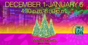 Spend Your Winter Nights Under the Winter Lights