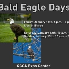 Bald Eagle Days Will Soon Be Landing!