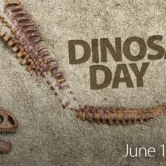 Explore the Truth About Dinosaurs at Niabi Zoo
