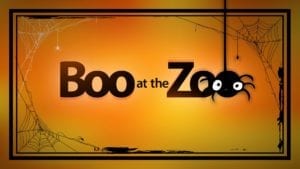 Boo At The Zoo Coming To Coal Valley's Niabi This Weekend