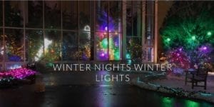 Winter Nights Winter Lights Returns to Quad City Botanical Center