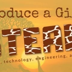 Introduce a Girl to STEAM at SAU