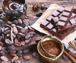 Quad City Botanical Center Postpones Chocolate Experience