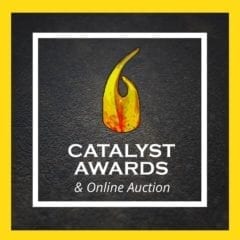 The Virtual Catalyst Awards and On-Line Auction