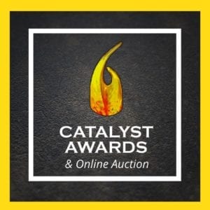 The Virtual Catalyst Awards and On-Line Auction