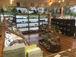 Little Rock and Gem Shop Goes Online