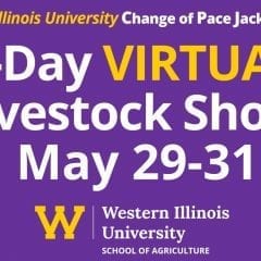 Western Illinois University Hoof N Horn Club to Host Virtual Show May 29-31