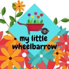 My Little Wheelbarrow at Fejervary Park