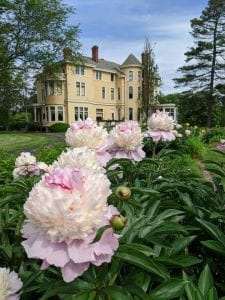 Illinois Quad-Cities Museums Grapple With Covid Reopening Restrictions