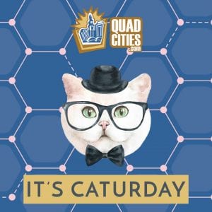 Hey All You Cool Cats And Kittens, It's Time To Celebrate Your Felines: It's Caturday