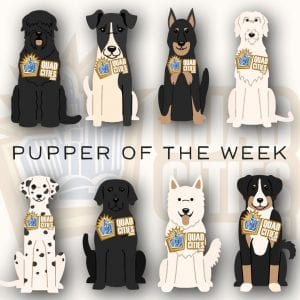 Meet Babay Dawg, The Pupper Of The Week