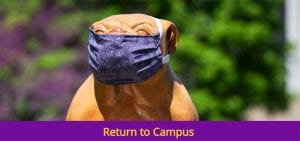 Protect the 'Necks Plan: New Policies, Procedures in Place for Fall 2020 At Western Illinois University