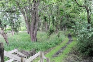 Hike On Down For A Free Guided Hike at Nahant Marsh