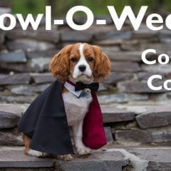 Howl-O-Ween Costume Contest