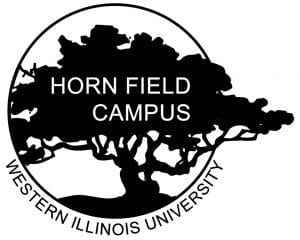 Horn Field Campus Opens its Corn Maze with October Hours