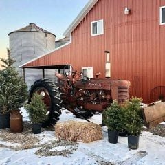 Enjoy A Country Christmas In Grandview