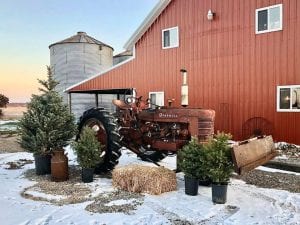 Enjoy A Country Christmas In Grandview