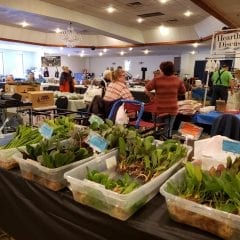 Quad City Fish Swap Swims Into Golden Leaf Banquet Center In Davenport