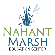 Explore Davenport's Nahant Marsh For Families In Nature This Weekend