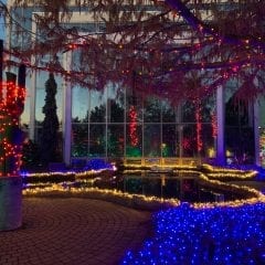 Rock Island Lighting Up With Winter Nights At Quad City Botanical Center