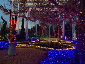Winter Nights Winter Lights Lights Up Botanical Center