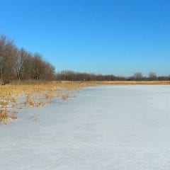 Tips To Survive The Illinois And Iowa Blizzard And Subzero Temperatures