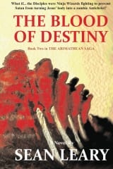 Illinois Author's Book Asks, What If Jesus' 12 Disciples Were Ninjas?