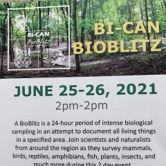 Celebrate BioDiversity At Illiniwek Forest Preserve This Weekend