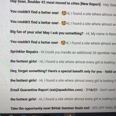 If You're Single And Looking For Company, Make Sure To Check Your Spam Folder