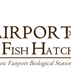 Friends Of Fairport Fish Hatchery Awarded Grant From Iowa Natural Resources