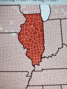 BREAKING: Illinois Covid Numbers Soar Into Red AGAIN, Nearing Shutdown Triggers?