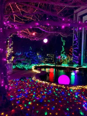 Figge Hosts Craft Night at the Botanical Center December 1