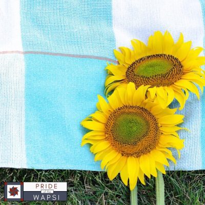 Love Sunflowers? Iowa Hosting Fun Outdoor Event, Sunflower Days, In Long Grove July 16