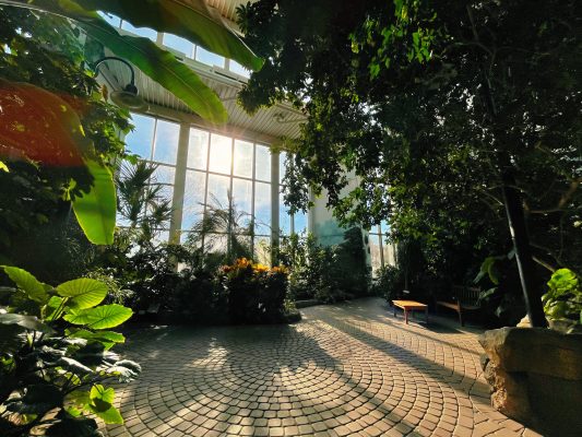 Botanical Center Seeking Storytellers to Feature in New Plants of the World Exhibit