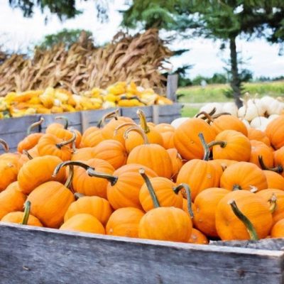 Have Fall Fun in LeClaire October 9