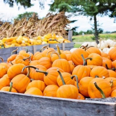 Have Fall Fun in LeClaire October 13