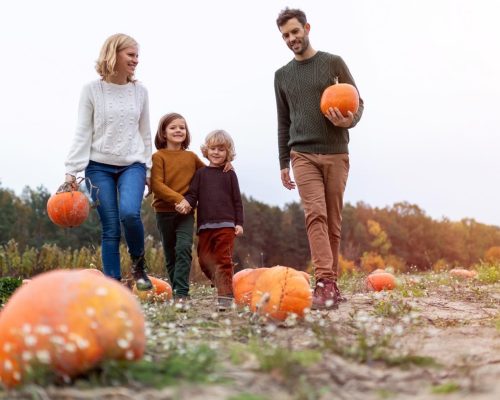 Celebrate with Illinois' Corn Crib Nursery at Family Fall Festival!