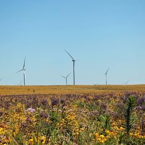 Quad-Cities Powered With Renewable Energy From Iowa And Illinois Businesses