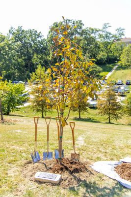 Western Illinois University Employee Memorial Tree Planting Set for April 26