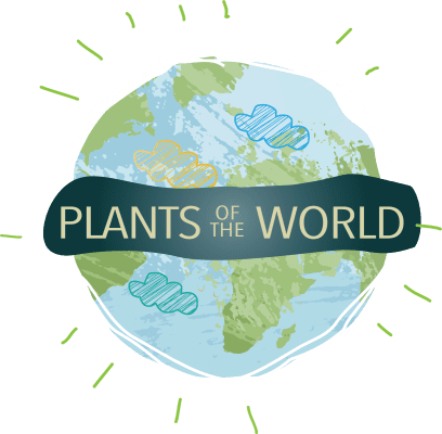 Botanical Center Announces Plants of the World Exhibit Opening