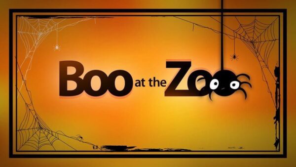 Boo at the Zoo October 28