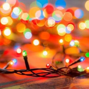 Take the Annual Christmas Lights TONIGHT!