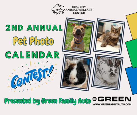 Get Your Pet Featured In The Quad-Cities Pet Photo Calendar Contest